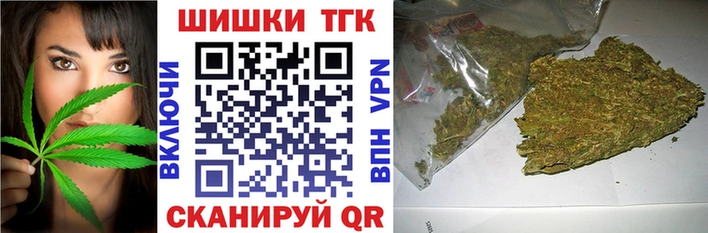 Конопля сатива  Ухта 